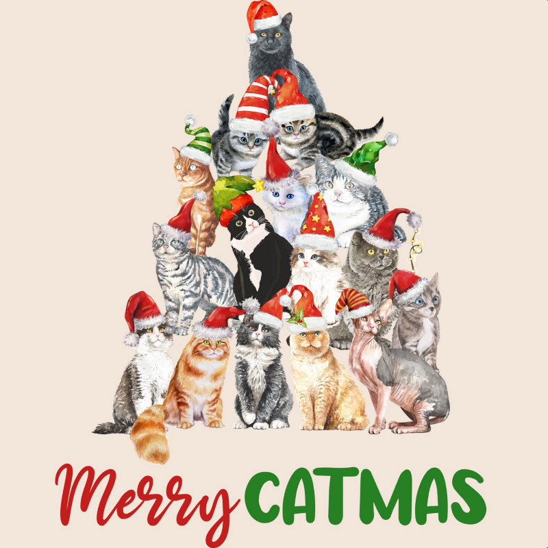 6 x Selection Pack Funny Cat Christmas Cards - Card Set