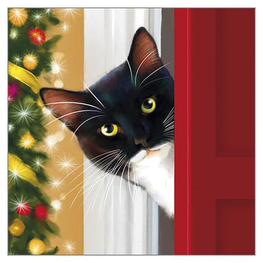 Denise Laurent Christmas Cat Greeting Card 'Has Santa Been' Christmas Cat Greeting Card
