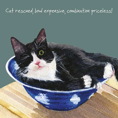 'Priceless' Black & White Cat Greeting Card by Anna Danielle