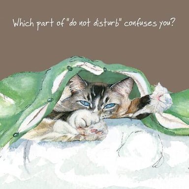Tabby Cat Greeting Card 'Confuses You' Cat Greeting Card by Anna Danielle