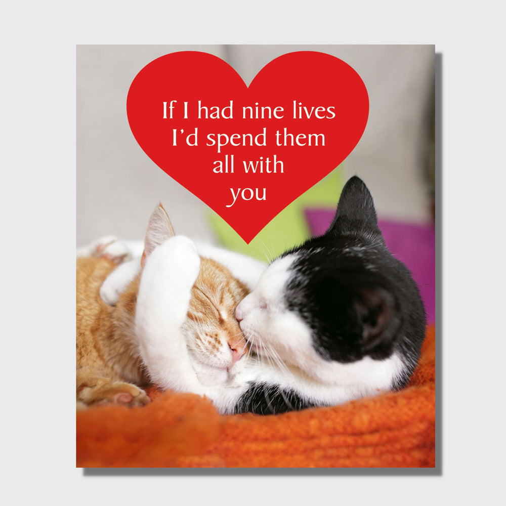 Cat Themed Anniversary Cards
