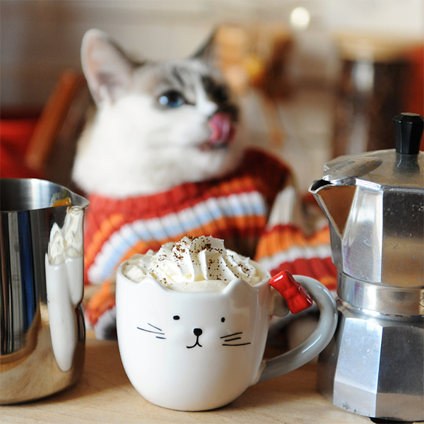 Cat 2024 themed gifts