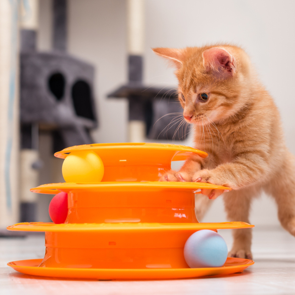 Cats toys best sale uk