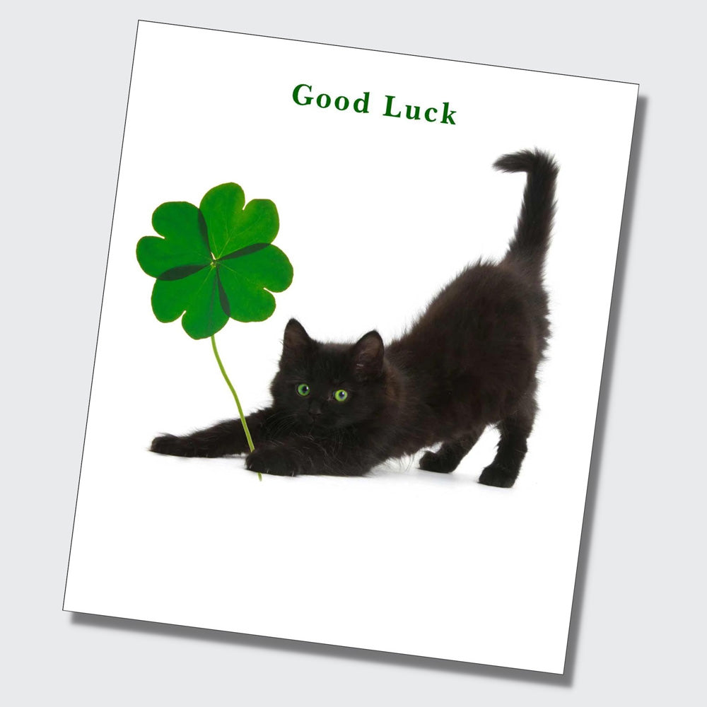 Cat Themed Good Luck Cards