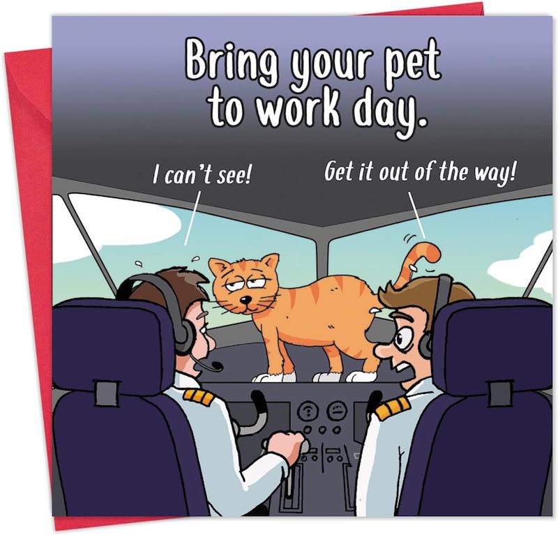Bring your Pet to Work Day Humorous Cat Greeting Card by Michael Canine