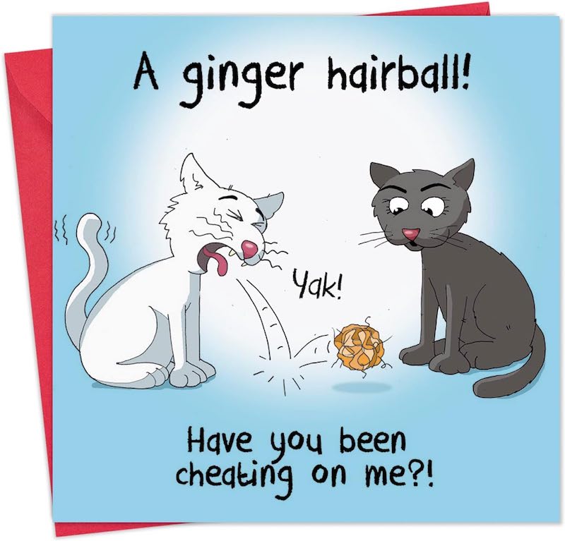 'Ginger Hairball' Humorous Cat Greeting Card by Michael Canine