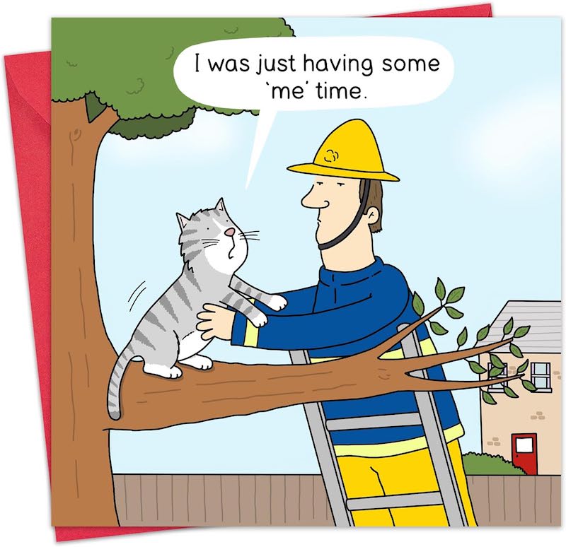 'Me Time' Humorous Cat Greeting Card by Michael Canine