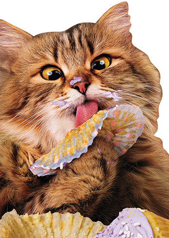 Cat Eating Cake Cat Greeting Card