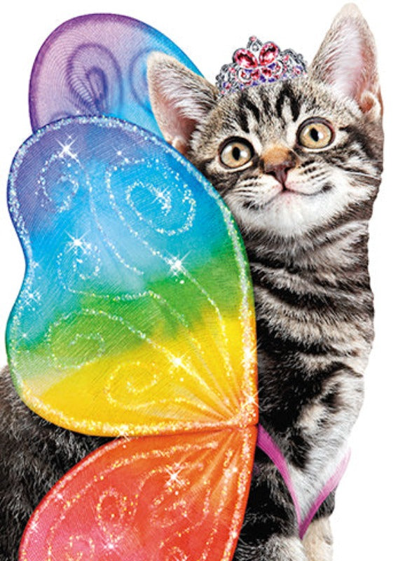 Rainbow Cat Greeting Card