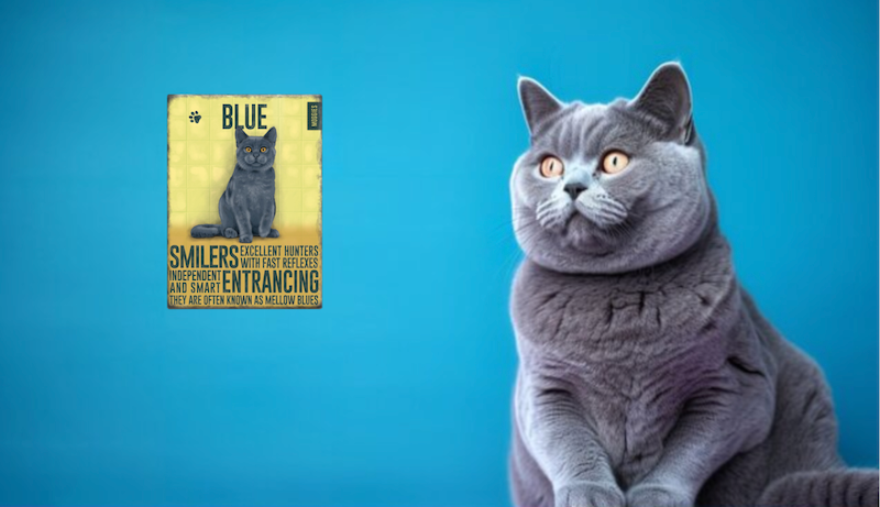 Blue Cat Fridge Magnet