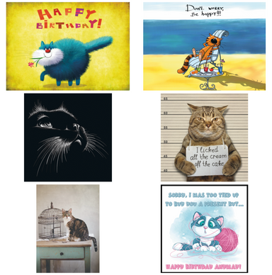 Variety 6 Pack of Cat Cards by Fabulous Felines Set