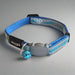 Rogz Blue Night Cat Collar