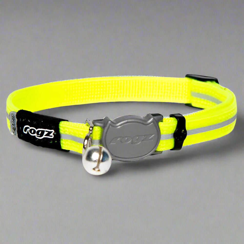 Rogz Dayglo Alley Cat Collar