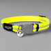 Rogz Dayglo Alley Cat Collar