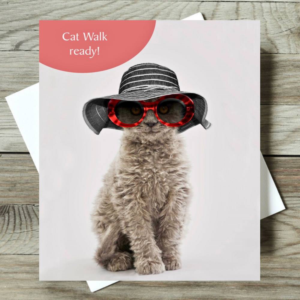 Card with a cat wearing sunglasses and a hat on a wooden surface