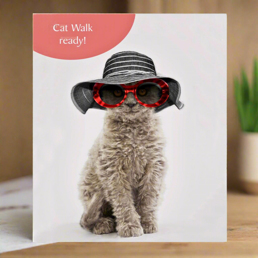 Cat wearing a large hat and sunglasses with 'Cat Walk ready!' text on a white background