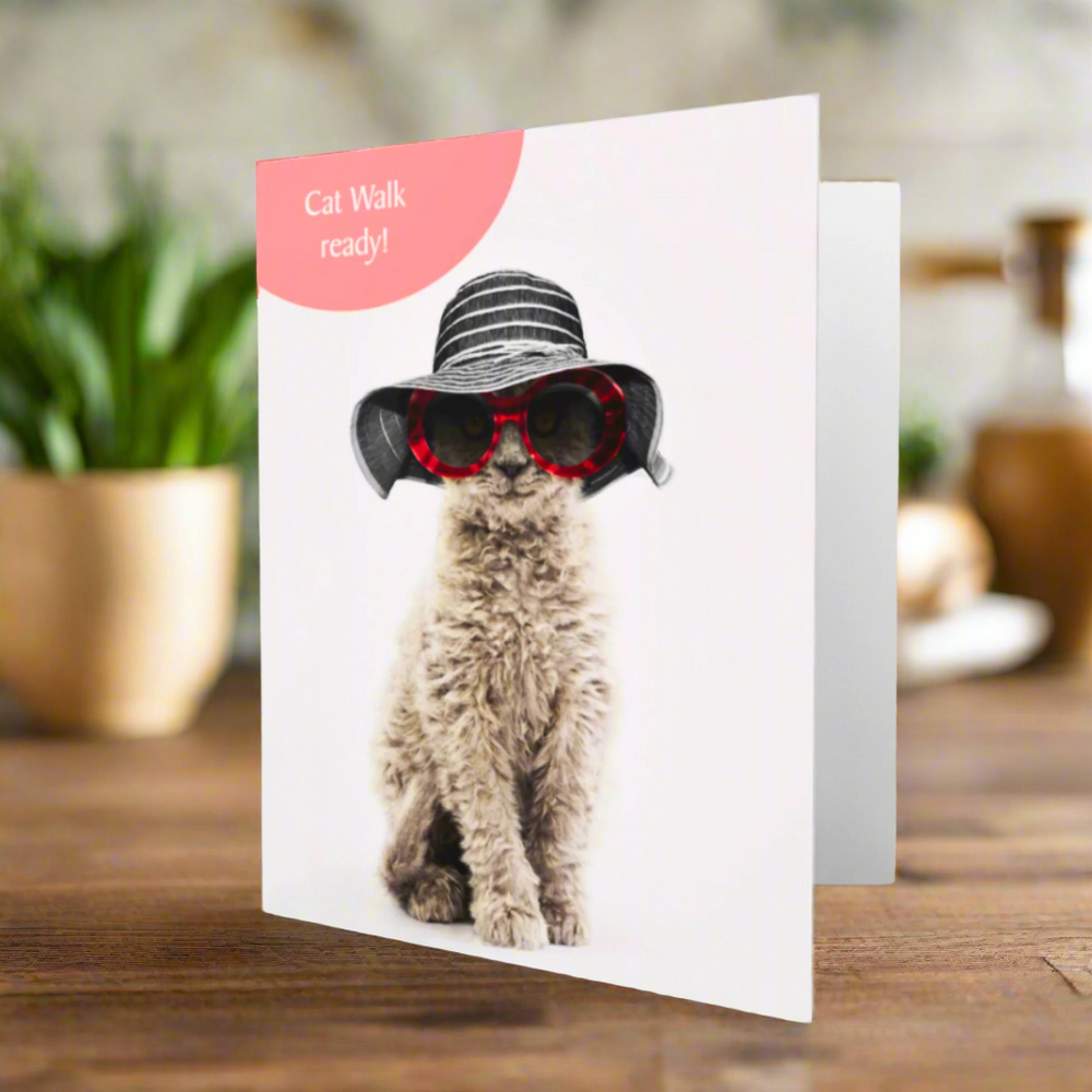 Card with a cat wearing sunglasses and a hat, text 'Cat Walk ready!' on a white background