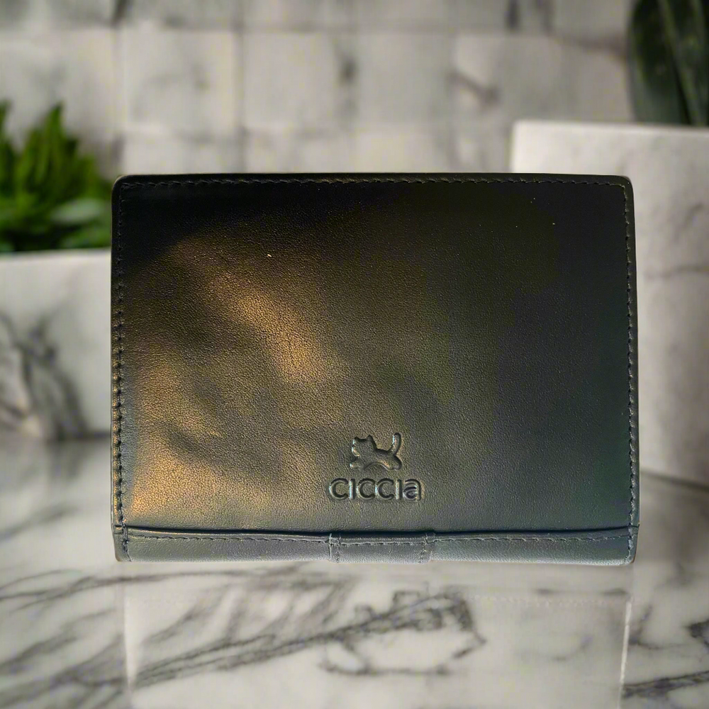 Ciccia Catsanova Leather Flap Purse – Brown Cat & Heart Design