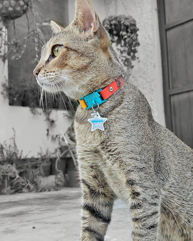 Kittyrama Reflective Collar Charm