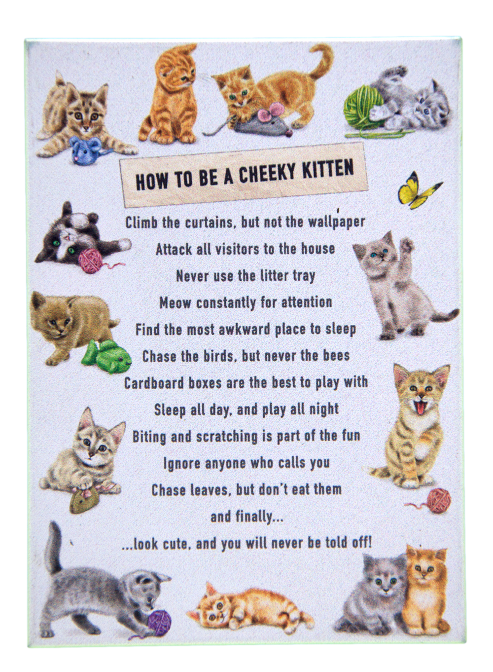 How to be a Cheeky Kitten Metal Hanging Cat Sign and Matching Fridge Magnet