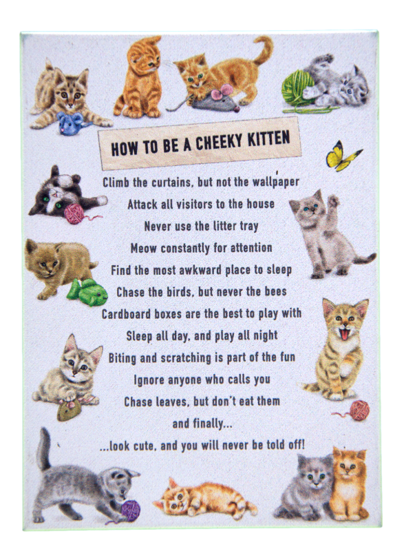 How to be a Cheeky Kitten Funny Cat Fridge Magnet