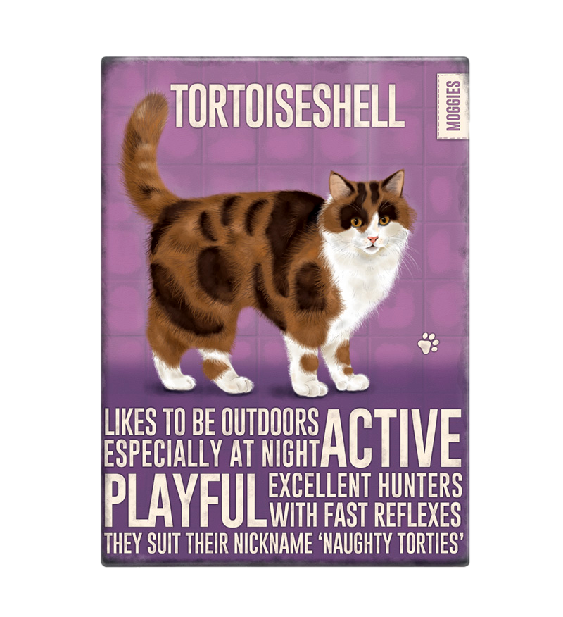 Tortoiseshell Cat Fridge Magnet
