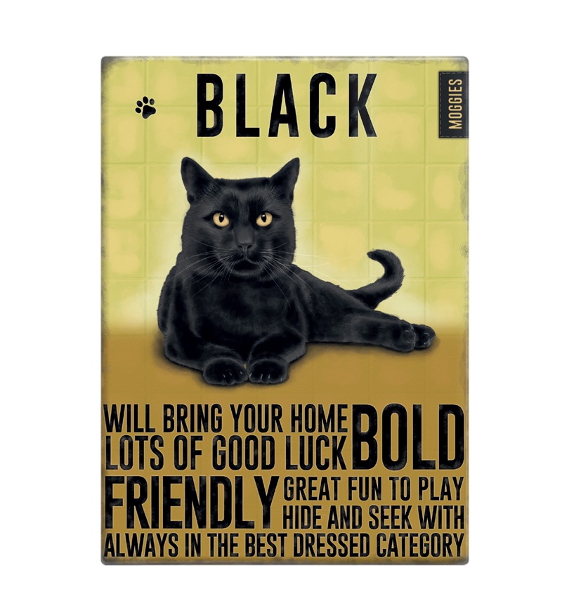 Black Cat Moggie Fridge Magnet