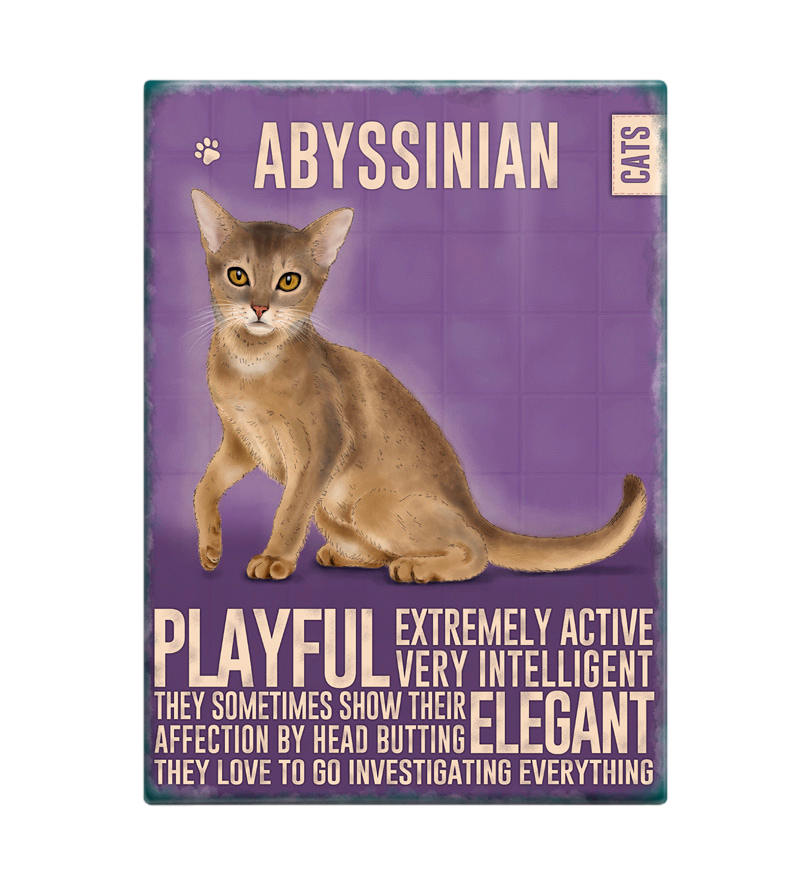 Abyssinian Cat Fridge Magnet