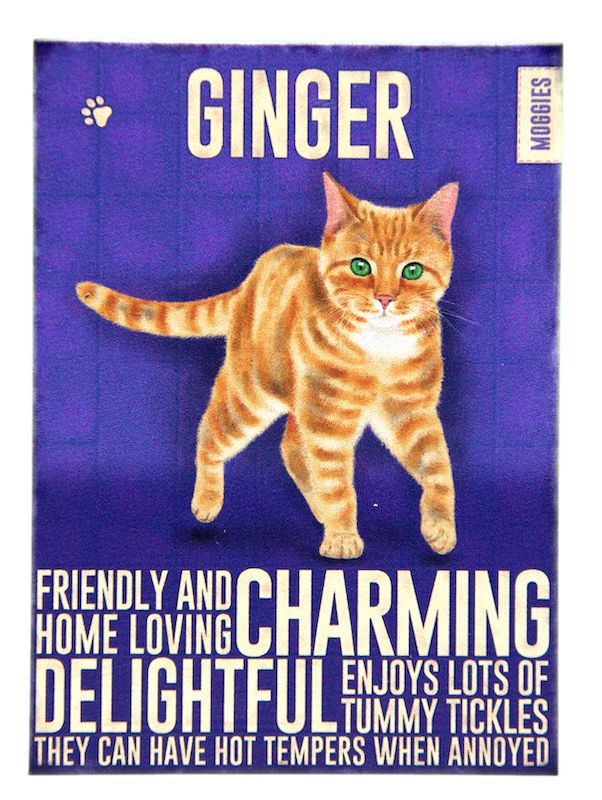 Ginger Cat Metal Hanging Cat Sign and Matching Fridge Magnet