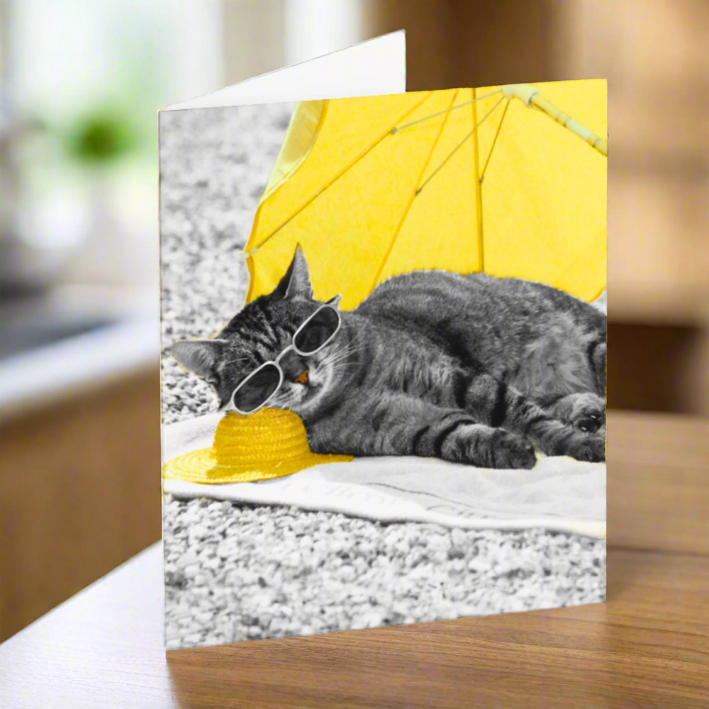 Sunshine Kitty Cat Greetings Card