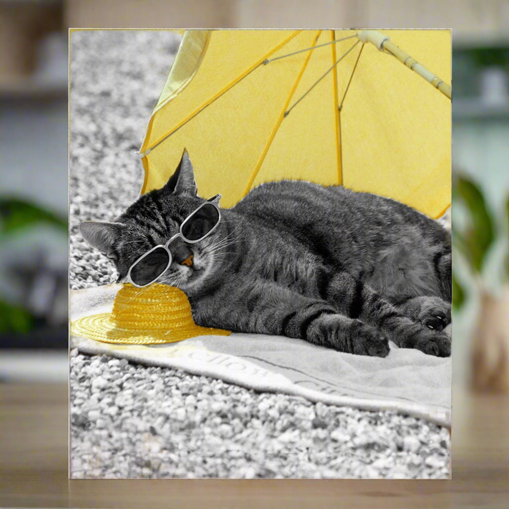 Sunshine Kitty Cat Greetings Card