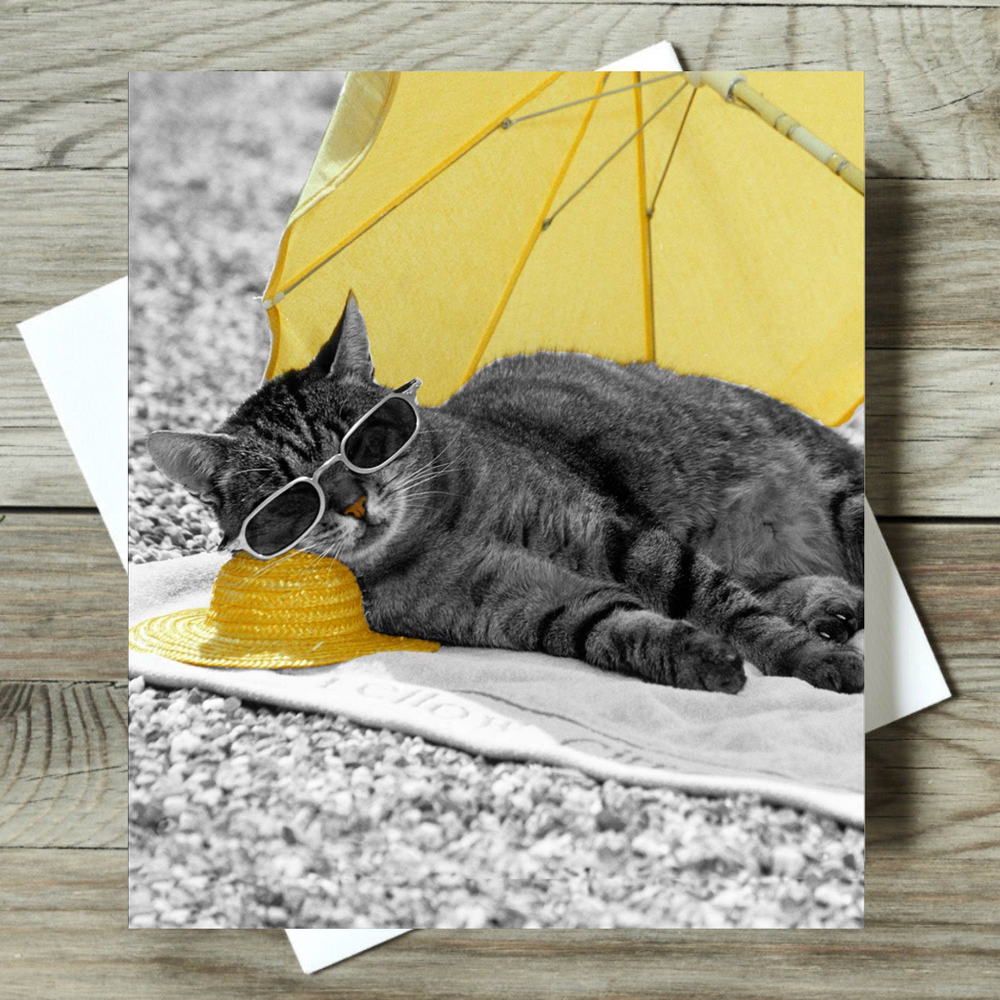 Sunshine Kitty Cat Greetings Card