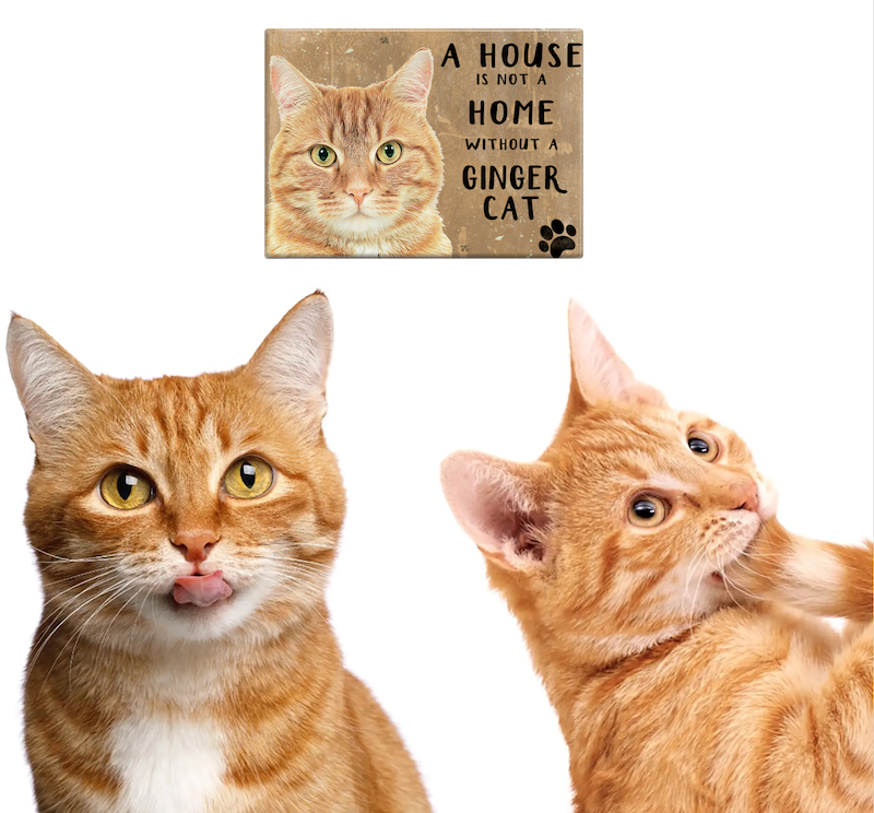 A House is Not a Home Without A Ginger Cat Fridge Magnet