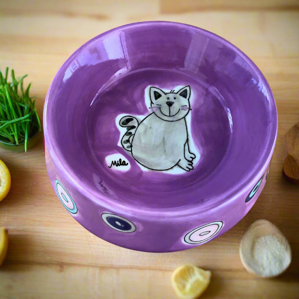 Two ceramic cat bowls, one with a yellow rim and the other with a purple rim, both featuring hand-painted cat designs inside.