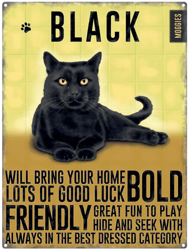 Black Cat Metal Hanging Cat Sign and Matching Fridge Magnet