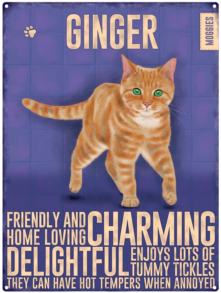 Ginger Cat Metal Hanging Cat Sign and Matching Fridge Magnet