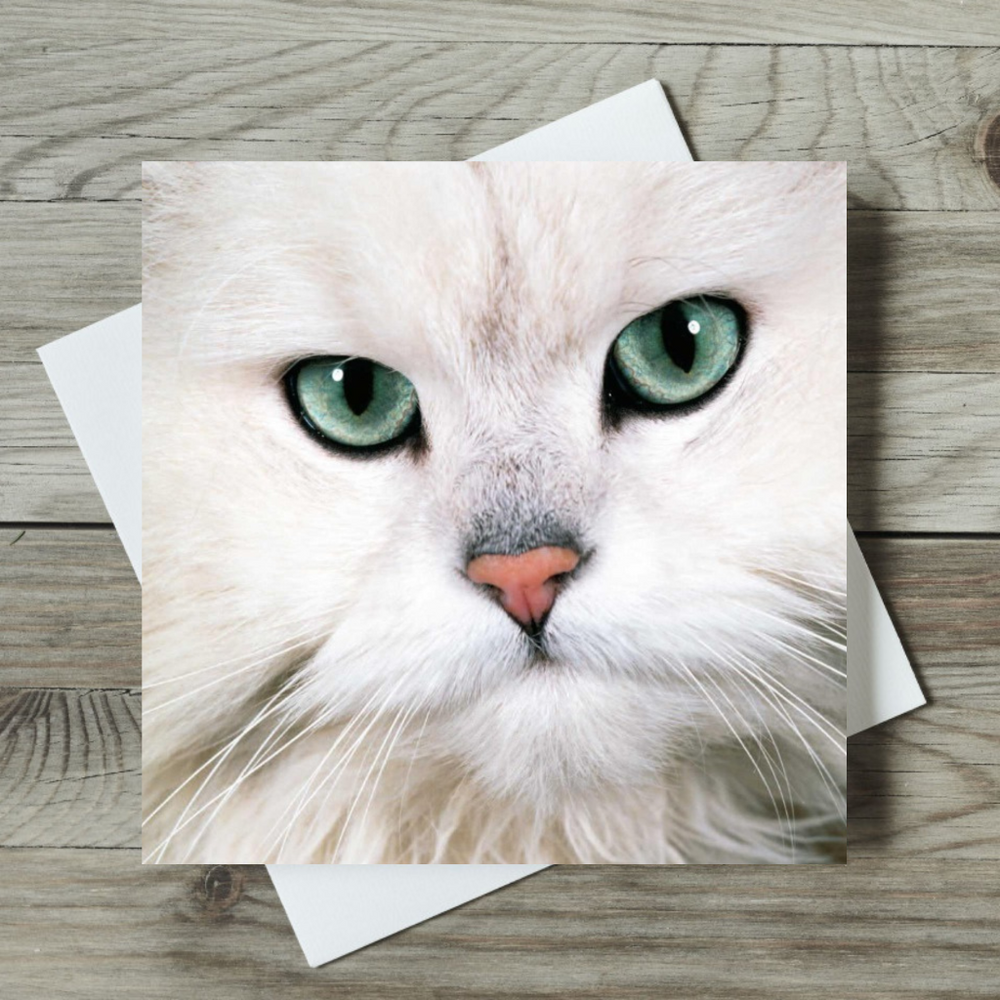 Card with a white cat's face on a wooden surface