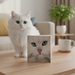 White cat with green eyes standing next to a photo of itself on a wooden table.