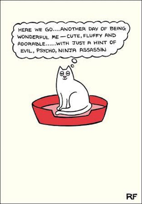 6 x Selection of Funny Cat Greeting Cards - by Rupert Fawcett Variety Pack Set