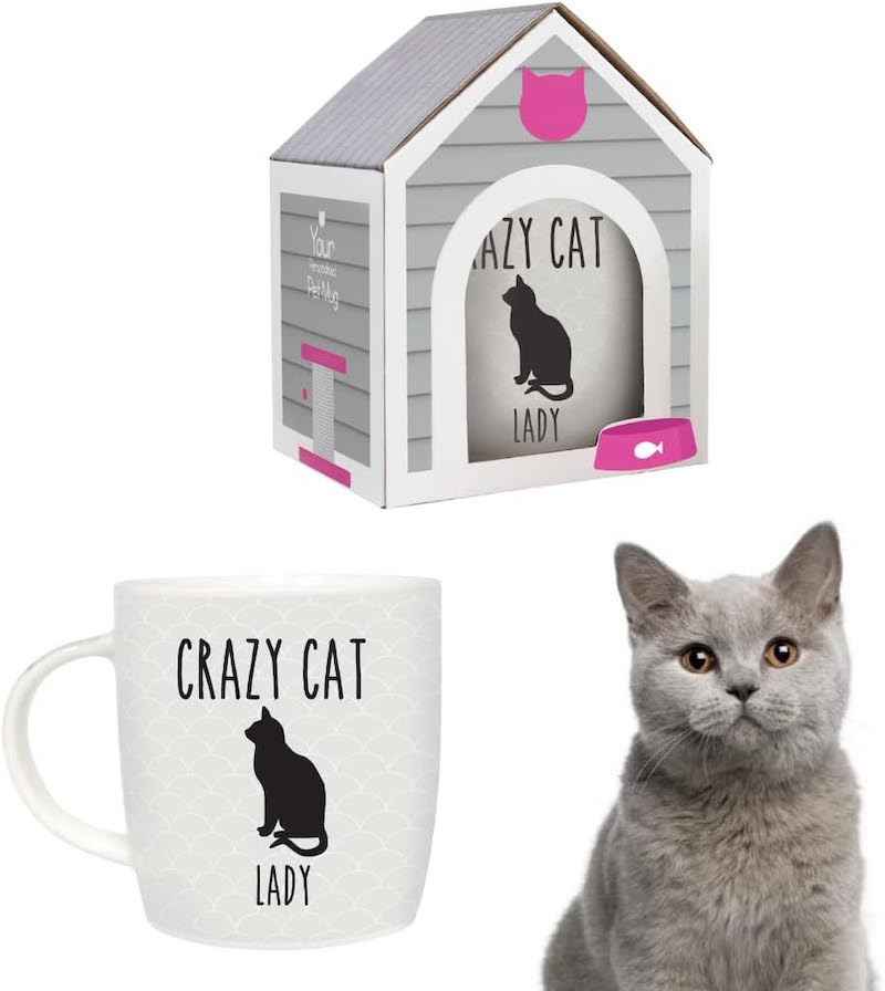 Crazy Cat Lady Mug with Cat House Gift Box