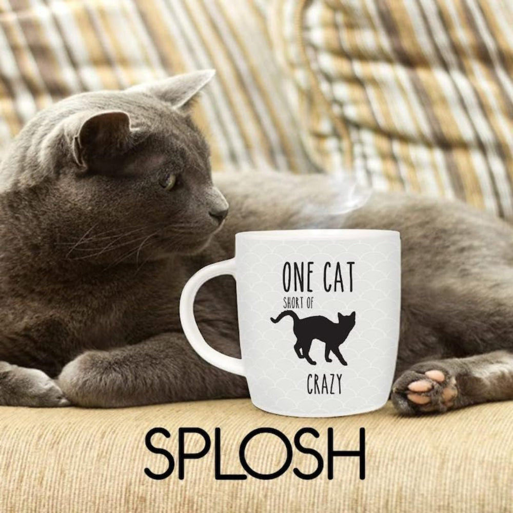 Cat lying next to a mug with 'One cat short of crazy' text on a couch.