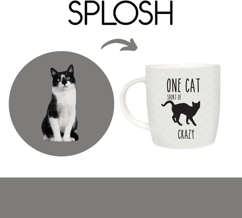 One Cat Short of Crazy Black Cat Mug with Cat House Gift Box