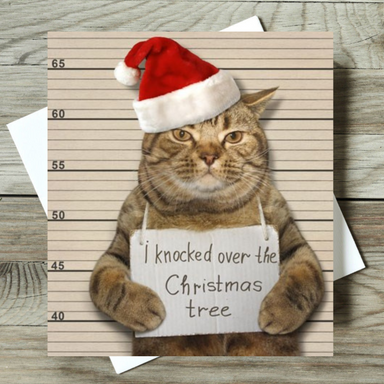 Cat Themed Christmas Cards With FREE Postage | PurrfectCatGifts.co.uk — Purrfect Cat Gifts