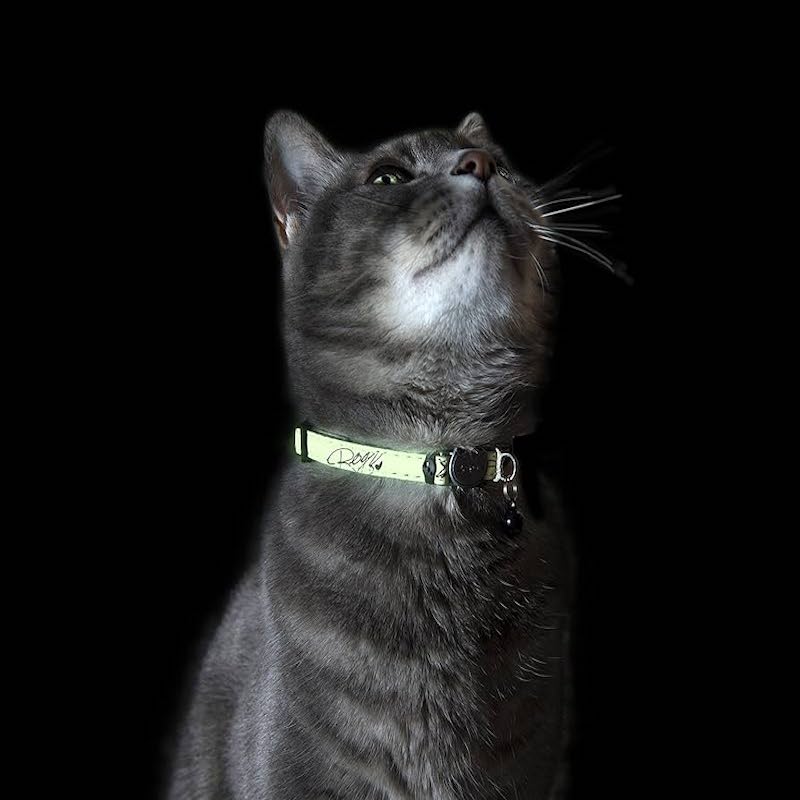 Rogz Black Glow Cat Collar