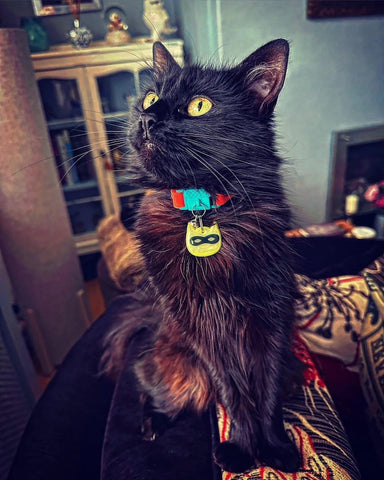 Kittyrama Reflective Ninja Cat Collar Charm (Choice of Colours)