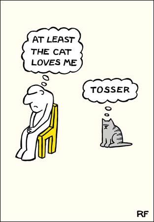 Rupert Fawcett At Least the Cat Loves Me Tea Towel And Matching Card - Gift Set
