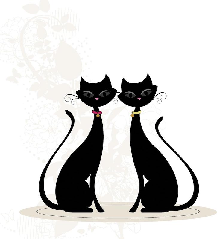 Twin Black Siamese Cats Greeting Cards with Silver Foil Shimmer