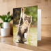 Greeting card with a kitten standing on its hind legs against a blurred green background