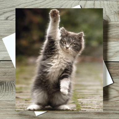 Kitten standing on its hind legs on a greeting card with a blurred natural background