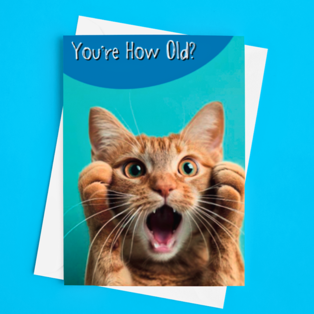 Old English Co. Funny Happy Birthday Card From Cat Iceland - View #2